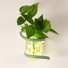 Load image into Gallery viewer, Plant Soul Wall Light - Decorar.co.uk