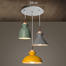 Load image into Gallery viewer, The Romance of Roses Pendant Light - Decorar.co.uk